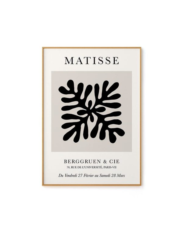 Coleção Matisse II