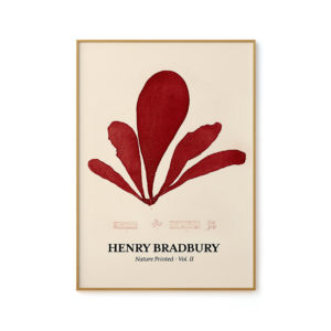 Seaweed Nº 01 - Henri Bradbury