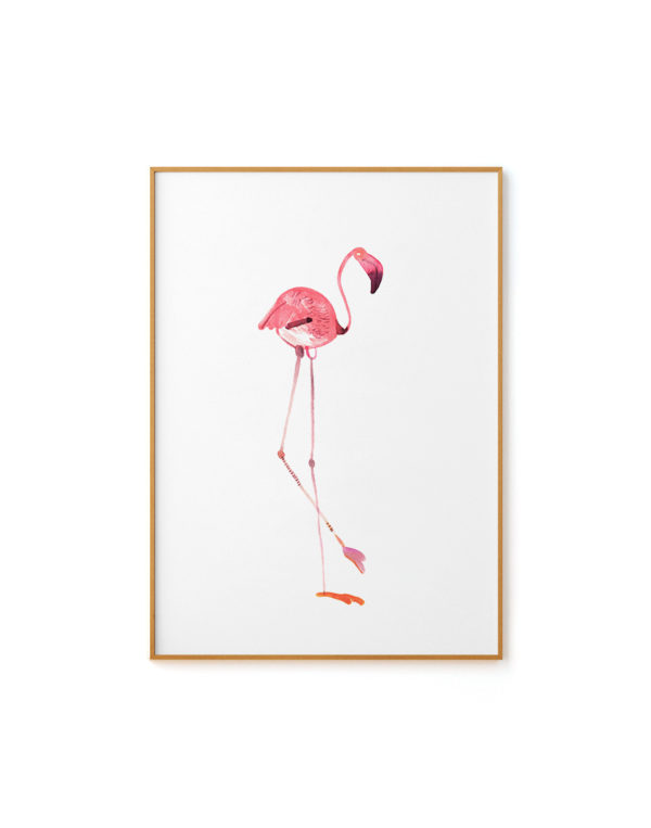 Flamingo