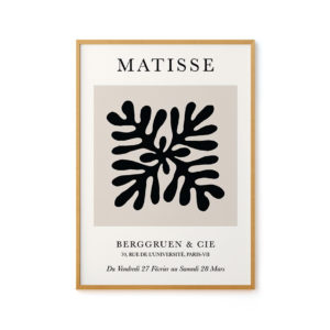 Coleção Matisse II