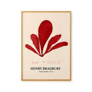 Seaweed Nº 01 - Henri Bradbury