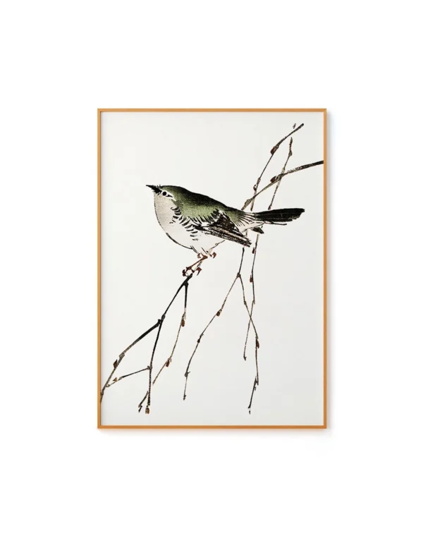 Bird Illustration by Kono Bairei