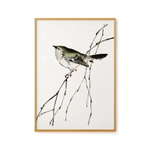 Bird Illustration by Kono Bairei